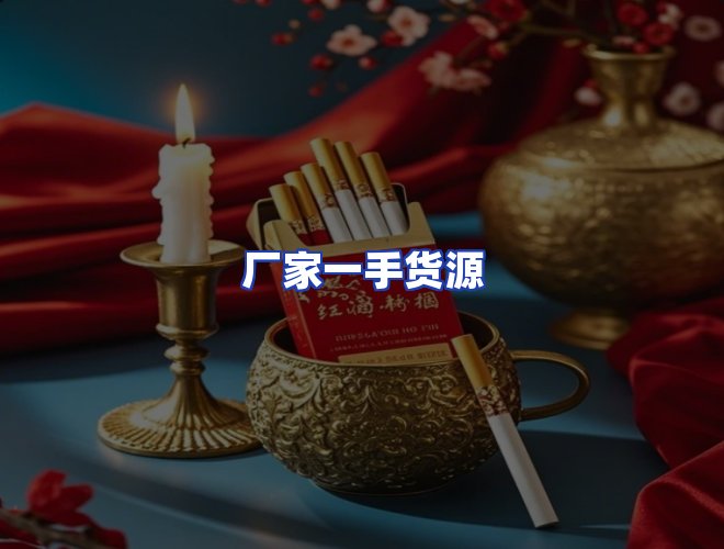 专业团队